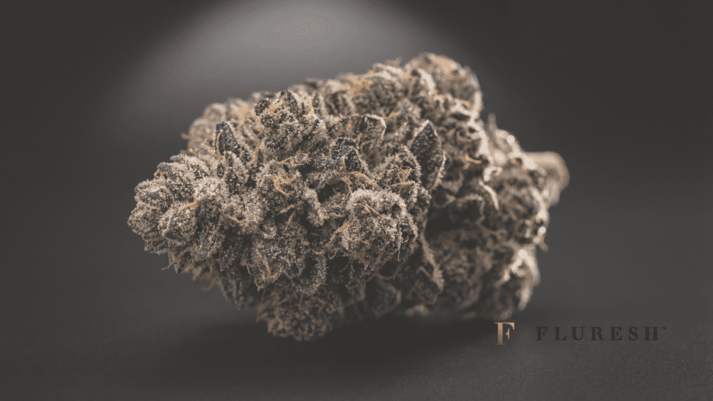Best Cannabis Strains in Grand Rapids, MI Fluresh Dispensary