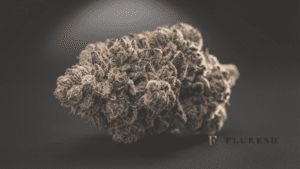 Best Cannabis Strains in Grand Rapids, MI Fluresh Dispensary