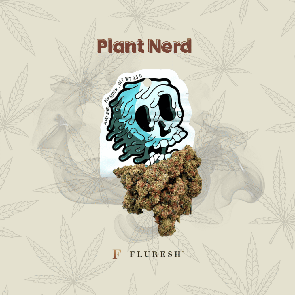 Plant Ner Platinum Pave strain dispensary near you Fluresh
