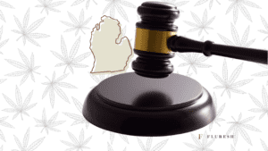 Cannabis Laws in Michigan Explained in Plain Language
