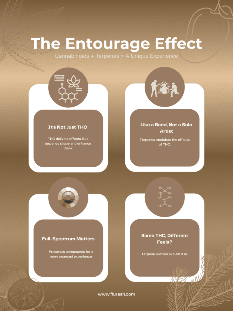The Entourage Effect Fluresh Dispensary Terpenes explained