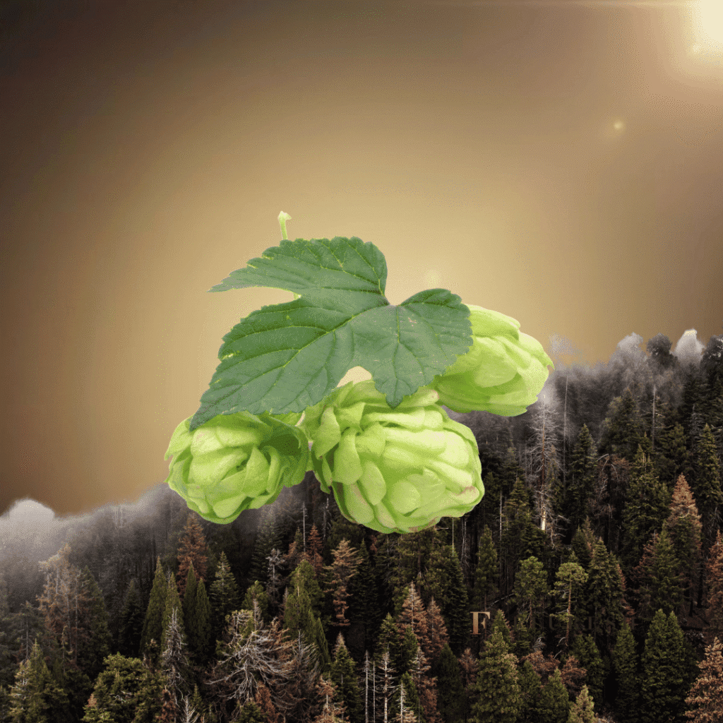 What Are Terpenes Humulene Grand Rapids dispensary Fluesh