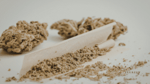 Cannabis Pre-Rolls Explained_ Your Guide to Ready-to-Smoke Options