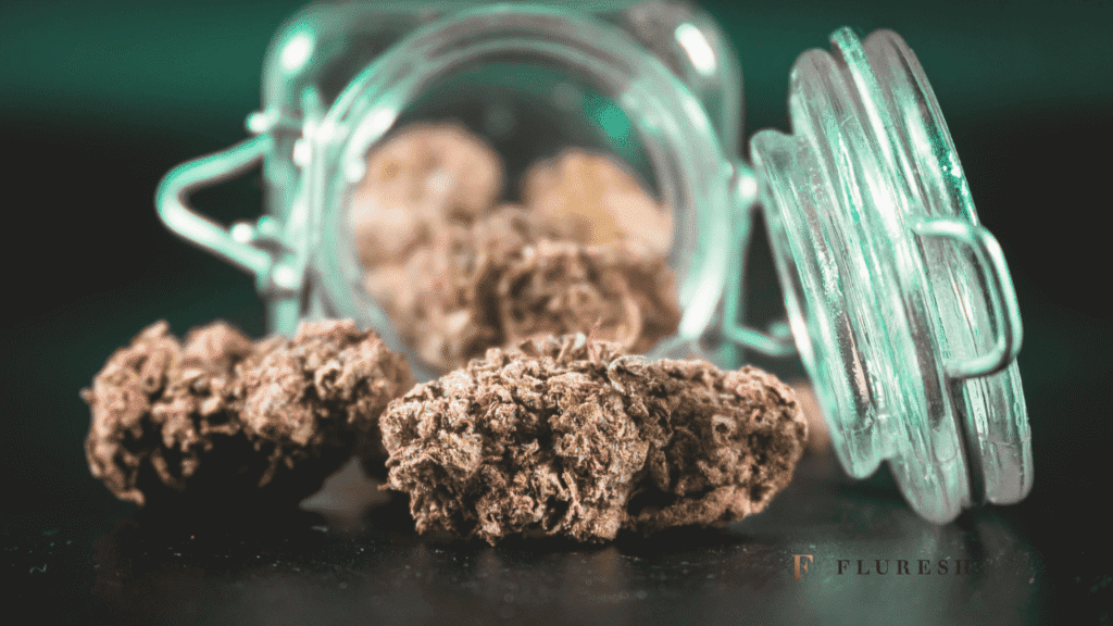 How to Store Cannabis at Home Without Losing Quality