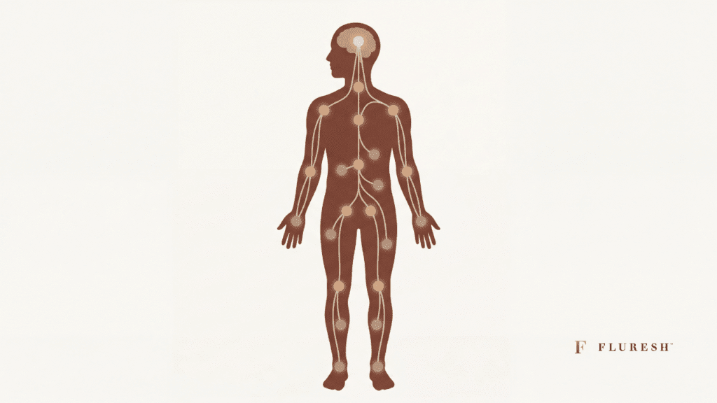 What is the Endocannabinoid system and why does it matter