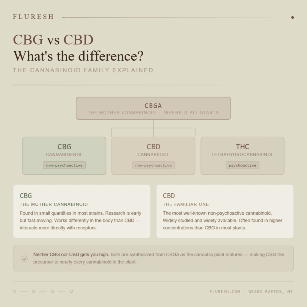 CBG vs CBD: What Is CBG and How Is It Different? | Fluresh Grand Rapids Michigan