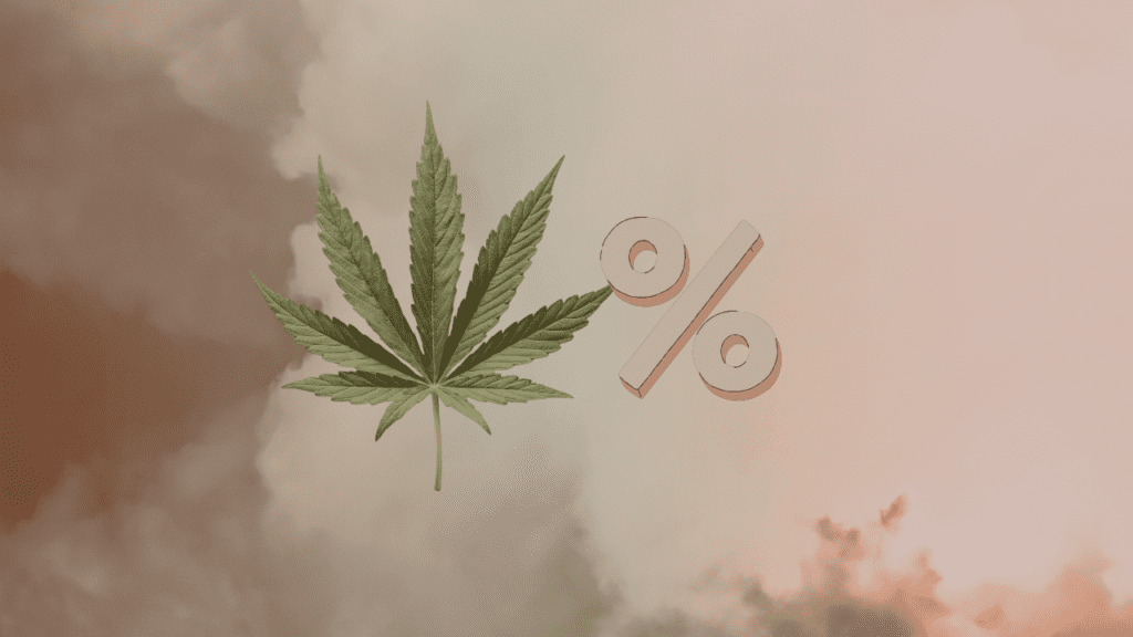 How THC Percent Works for New Shoppers