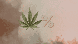 How THC Percent Works for New Shoppers