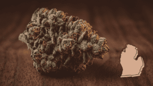 Strongest Cannabis Strains in Michigan