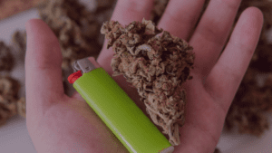The Best Indica Strains for Relaxing Grand Rapids Michigan