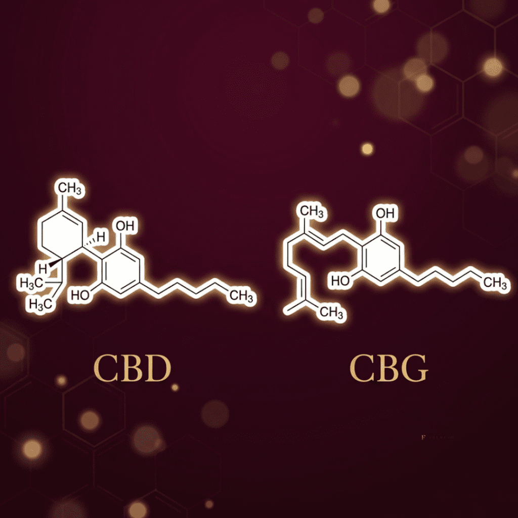 CBD vs CBG whats the difference? Fluresh Grand Rapids Michigan